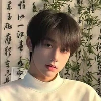 Triệu Vũ Bảo - y