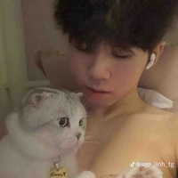 Phượng hoàng lỏ