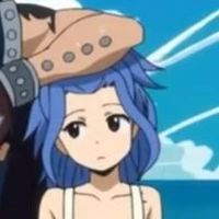 levy