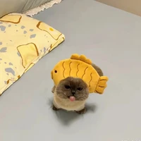 Người đẹp ngủ trên giường 🌷✨