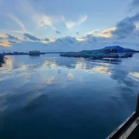 tất cả lớp