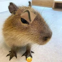 Tác giả bth:))