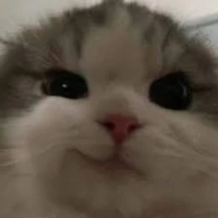 Tác giả lười😔🤟