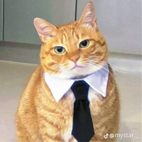 nhỏ tg đẹp gáii