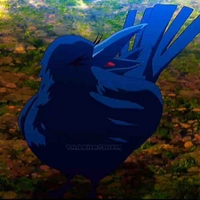 Quạ của Muichiro