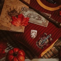 Phù Sinh Gryffindor
