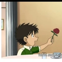 kaito