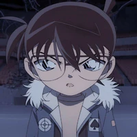 Edogawa conan/kudo shinichi