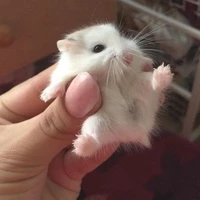 <3