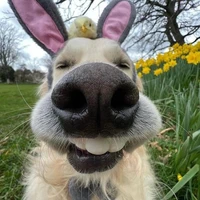 Nô lệ của tư bản