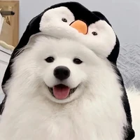 Nam nè:3💖