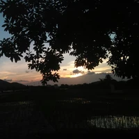 • Windyihia | Windy •