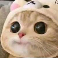 Tác Giả