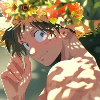 Monkey D Luffy