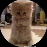 cả nhóm