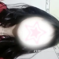 Hachi SGP