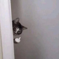 Tác giả nèee:>>>