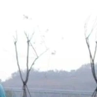 các anh