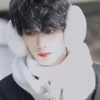 Đinh Trình Hâm (cậu)