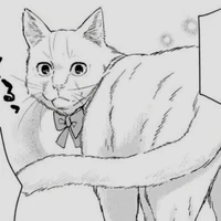 Risa-chan