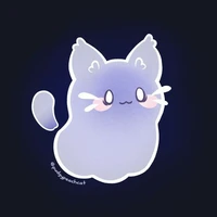 Pipi