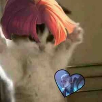 Tg six gáii=))