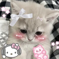 HaNiHen 🌷