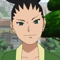Nara Shikadai