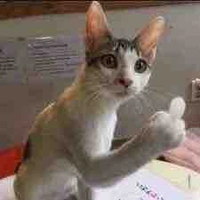 NV quần chúng ăn dưa