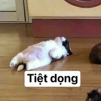 Tác giả Over lung tung