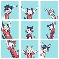 Nekoma🚩🐱