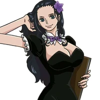 👁nico.robin👁