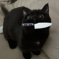 CatSuyyy
