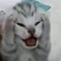 t/g chỉ biết ngủ:)) 