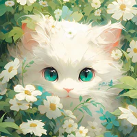 Noe