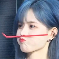 con gấu này trầm:]