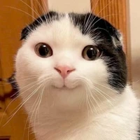 T/g xinh nhất quả đất