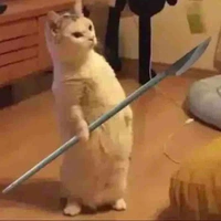 Kon T/g ăn rồi báo:)