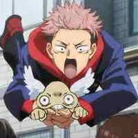 Itadori yuji ( chó yuji )