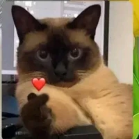 bố wirth thế giới song song