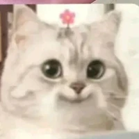 mẹ wirth thế giới song song