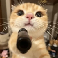 Hey nè