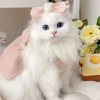 Luna_hệ thống