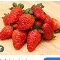 Con mắm tác giả :)