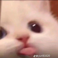 Tác giả 