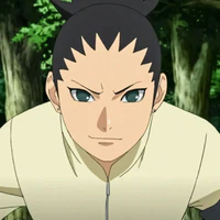 Nara Shikadai(NT)