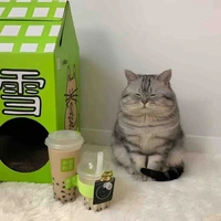Tác giả
