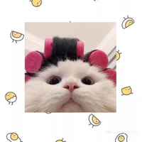 hệ thống