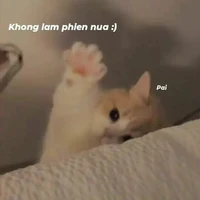 cả lớp