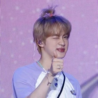 Seok Jin